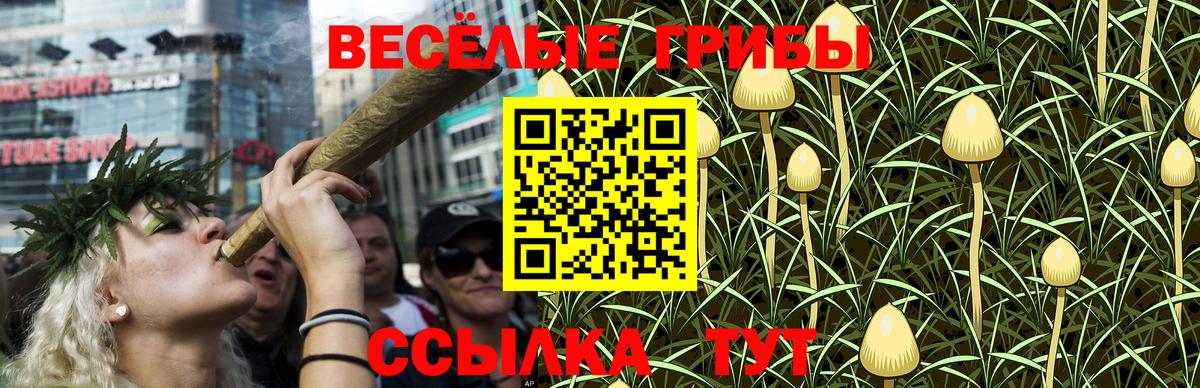 Галлюциногенные грибы MAGIC MUSHROOMS  Вход с VPN  наркота  Кашира 