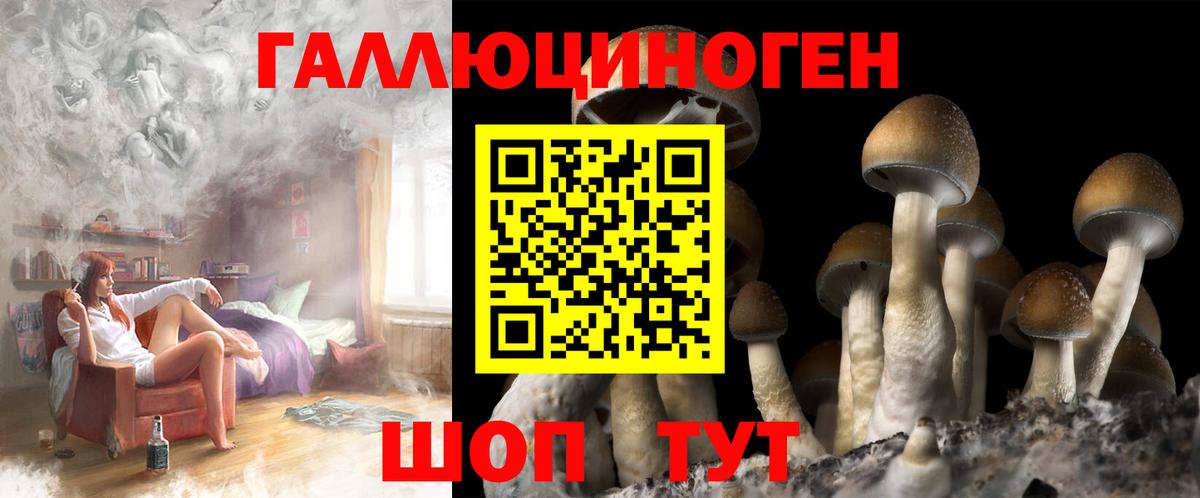 Галлюциногенные грибы Psilocybe  Кашира  Псилоцибиновые грибы Psilocybe 